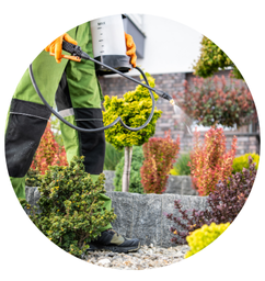 Professional Odor Control Solutions Services In Grand Rapids, Michigan